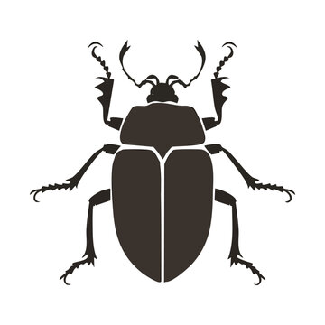 Scarabaeidae beetle silhouette with silhouette set black silhouette vector silhouette isolated on white silhouette collection icon set vector icons minimal design clipart silhouette wildlife