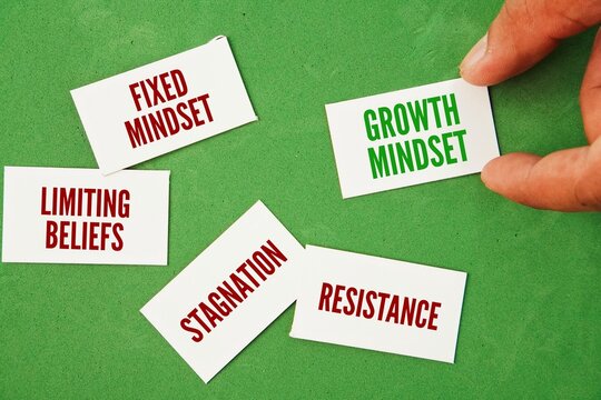 Words opposite to growth mindset are fixed mindset, limiting beliefs, stagnation, resistance. which often manifests through specific attitudes and behaviors.