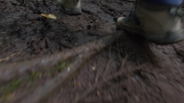 Person walks on the dense forest on Kunashir island in Russia, shaky low angle camera