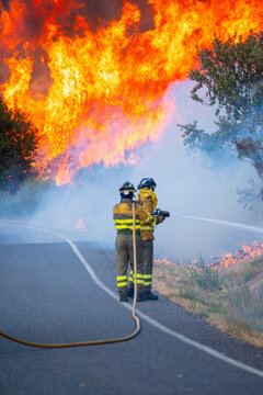 Firefighters battling massive wildfire with water hose The Concept of Bravery