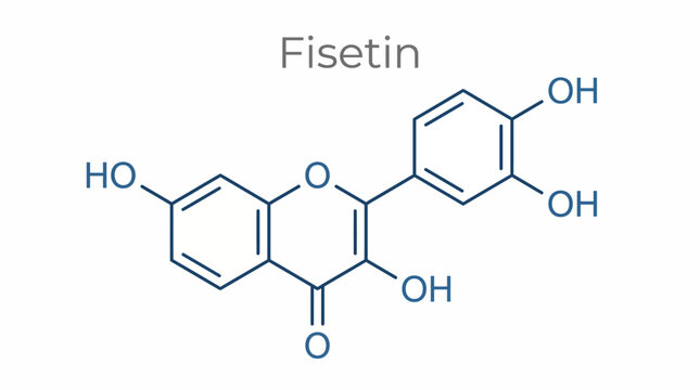 An educational representation of the Fisetin molecule illustrating its chemical structure, highlighting the significance of biochemistry in health and nutrition for a science-focused audience.