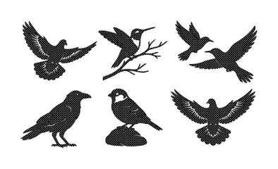 Fototapeta premium Black bird silhouettes, a collection of 6 diverse avian species in flight and perched. Minimalist vector illustrations for nature-themed designs, logos, and graphic resources.