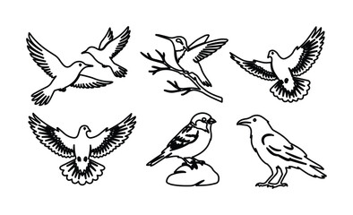 Naklejka premium Minimalist bird vector set, elegant line art birds, flying and perched avian illustrations, black and white animal graphics for nature designs