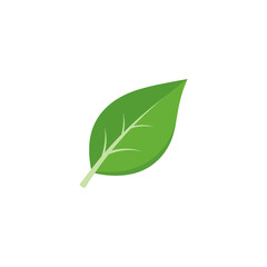 Obraz premium Single green leaf graphic icon isolated on white background with eco friendly