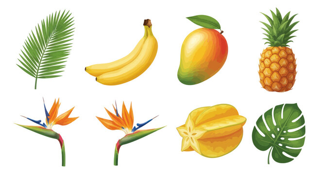 Tropical fruits and exotic flowers collection.