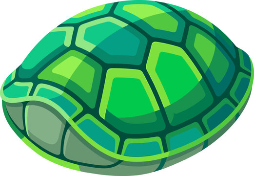 Green turtle shell shows intricate geometric shell patterns