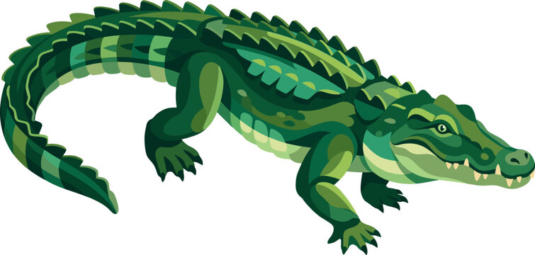 Large green crocodile walking on land with scales