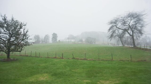 Foggy rural landscape with green field bare trees and distant farmhouse creating moody atmospheric countryside scene