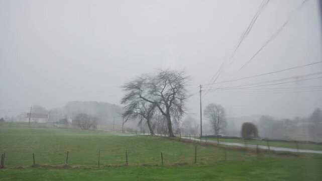 Misty countryside road with leaning tree and power lines creating eerie atmospheric rural landscape in fog