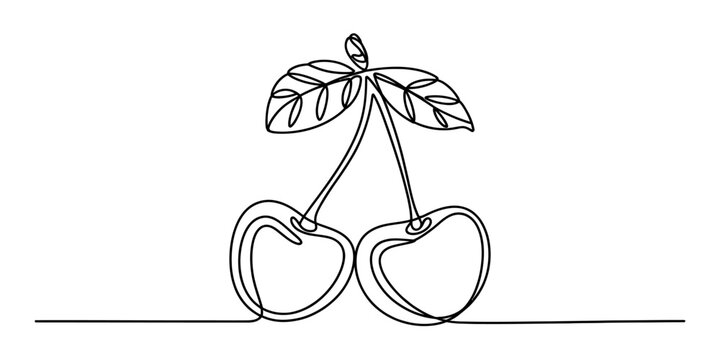 A minimalist single line drawing of two connected cherries with leaves on a plain white background Vector, illustration