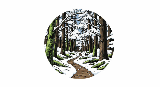 Snowy forest path winds through tall trees