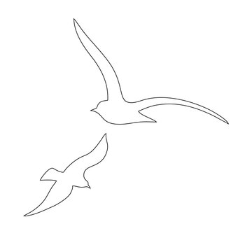 Flying birds, two animals, outline silhouette, abstract sticker on the wall of a house or glass, vector symbol of protection of birds from collision