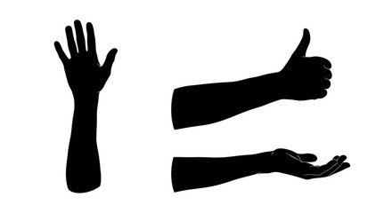 Fototapeta premium Silhouette Hands Gestures: Thumbs Up, Open Palm, Five Fingers Raised
