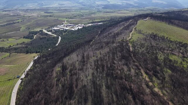 Aerial view of a landscape scarred by fire, contrasting the dark, burnt trees with resilient greenery, Freixo de Espada a Cinta, Portugal.