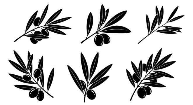 Olive branch icons, black silhouette set, 6 leafy twig illustrations, botanical vector graphics
