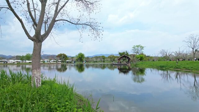 Liangzhu Ancient City Ruins Park Lake Green Trees Grassland Natural Scenery