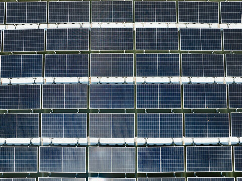 Floating solar farm on a large pond for sustainable poultry farming energy. Alternative energy.