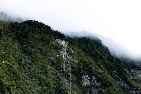 View of a steep, verdant mountainside cascading with thin waterfalls, shrouded in ethereal mist and fog, Milford Sound, Southland Region, New Zealand.