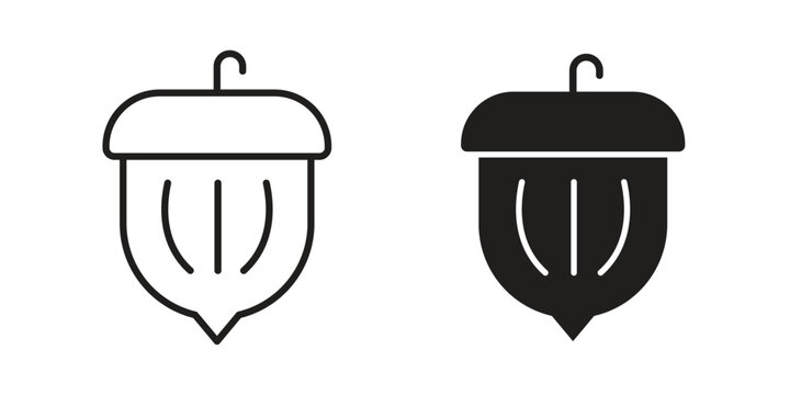 Hazelnut icon and symbol. Vector icon editable set