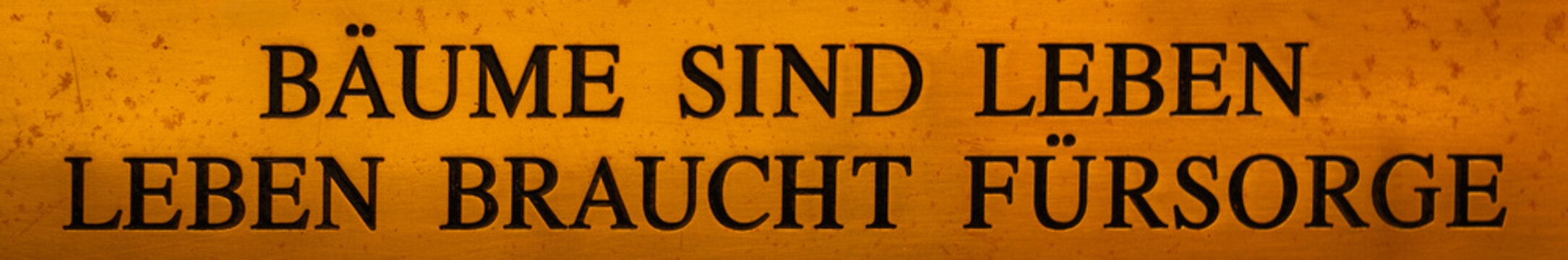 B&auml;ume sind Leben, Leben braucht F&uuml;rsorge
