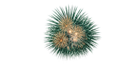 Obraz premium hyper-realistic studio photo of a pyrotechnic display: gold brocades, silver willow, and green crossettes exploding triumphantly against a transparent void with copy space. concept of lavish