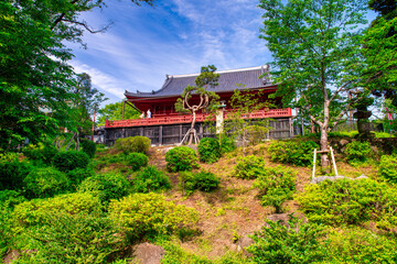 Fototapeta premium Springtime perspective of Shinobazu Pond with the historic temple, reflecting architecture and vibrant nature in central Tokyo