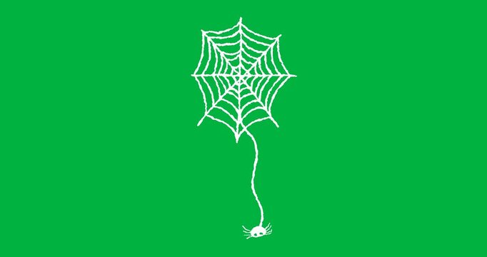 Animation of white spider and spiders web appearing on black background