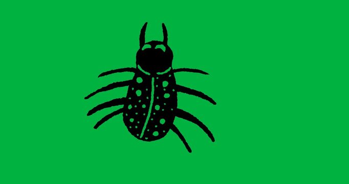 Animation of black moving spider drawing on white background