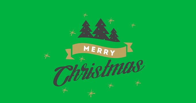 Animation of christmas greetings with decorations on white background