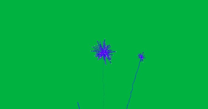 Animation of purple fireworks exploding on white background