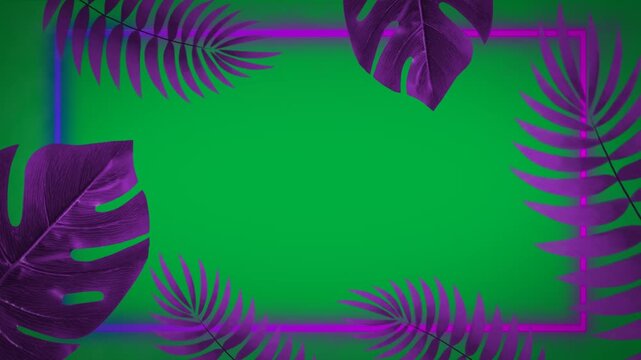Animation of purple frame and leaves on white background