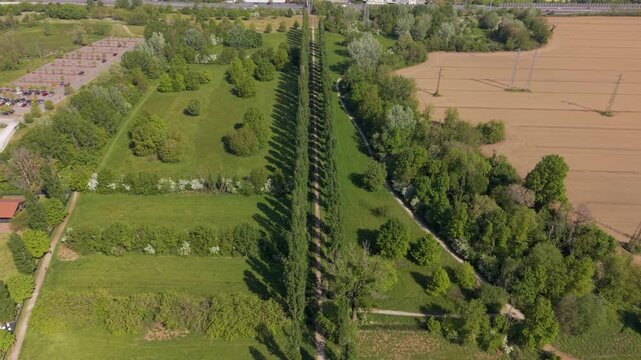 Avenues of Greenery: An aerial view showcases a striking avenue of tall trees, flanked by lush green fields and bordering agricultural land, creating a harmonious blend of nature and cultivation.