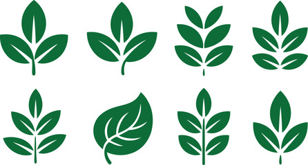 Fototapeta premium Collection of eight green leaf and botanical symbols isolated on a white background set