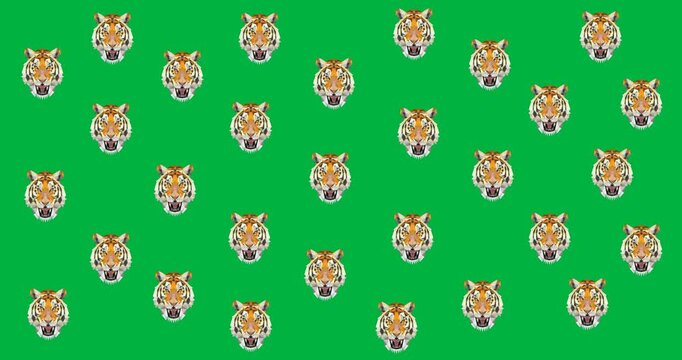 Digital animation of multiple tiger face icons against black background