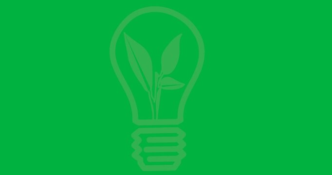 Digital animation of plant inside a light bulb icon against black background