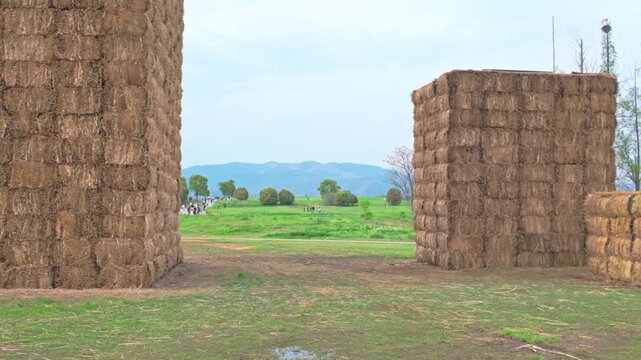 Liangzhu Ancient City Ruins Park Chizhong Temple Granary Site
