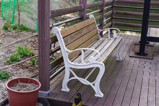 Weathered Wooden Park Bench on a Deck Overlooking a Tranquil Water Body