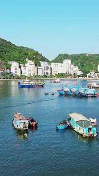 Colorful fishing boats anchored in the calm waters of Cat Ba harbor with a backdrop of green hills and modern buildings under a clear blue sky in Vietnam.