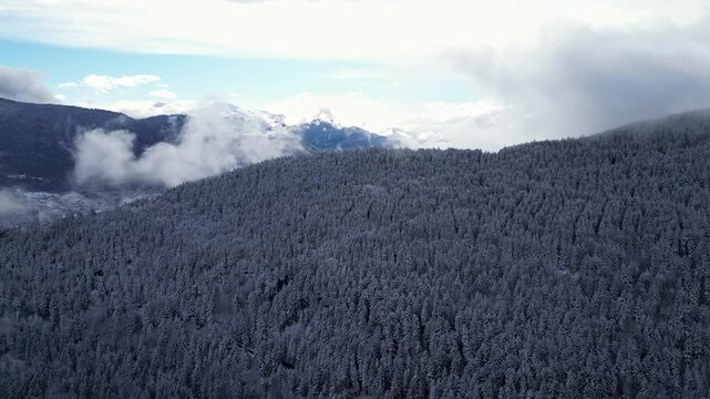 Aerial view of snowy Tarentaise Valley in the French Alps with fog, pine forests and dramatic winter mountains in Savoie, France.