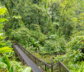 Fototapeta premium Bridge over river Riviere du Grand Carbet - Hiking trail to the second cascade of Carbet waterfall (Caribbean island Guadeloupe)