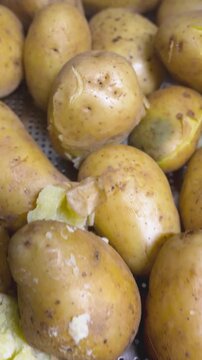 Delicious golden potatoes plated in restaurant ready to eat with herbs and spices close up