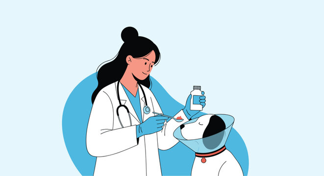 Professional female veterinarian in a white coat carefully administers liquid medicine to a small dog wearing a protective recovery cone collar.