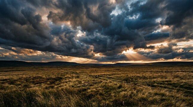 A dramatic landscape of a vast open field under a stormy sky