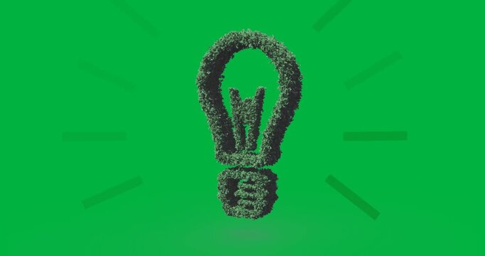 Digital animation of plant inside a light bulb icon against black background
