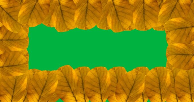 Digital animation of multiple yellow autumn leaves forming a frame against black background