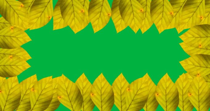 Digital animation of multiple yellow autumn leaves forming a frame against black background