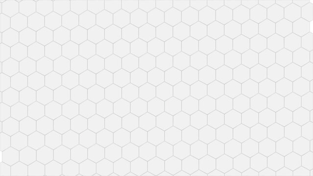 Seamless Hexagon Grid Pattern on White Background vector illustration. design for the background flyers,