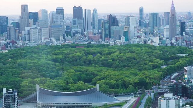 Tokyo cityscape from above during golden hour sunset with dramatic skyline