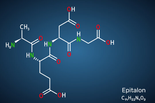 Epitalon tetrapeptide molecule. Synthetic peptide Ala-Glu-Asp-Gly structure. Anti-aging compound and telomerase activator for longevity research. Dark blue background