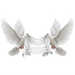 Obraz premium Two white doves holding a banner isolated on transparent background
